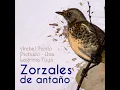 El Ultimo Organito