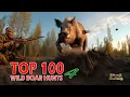 Download Lagu Top 100 wild boar hunts of \