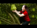 Download Lagu Pemanenan Labu Siam dan Persik Ungu – Tapi Ada Suara dari Dalam Keranjang! | Maia Daily Life