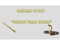 Download Lagu SULING ULAR COBRA - SANSAN STORY collab with SAKTI CHANNEL