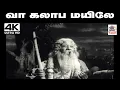 Download Lagu vaa kalaba mayile Song TMS பாடிய பாடல் வா கலாப மயிலே