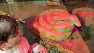 Yusuf ve kuzenleri dev akvaryuma gittiler🤩 İguana, pirana, yılan, fare, maymun gördüler😍