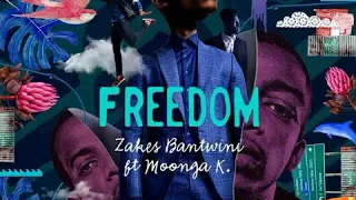 zakes bantwini feat moonga k freedom shawnastro remix 