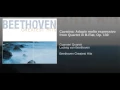 String Quartet No. 13 in B-Flat Major, Op. 130: V. Cavatina. Adagio molto espressivo