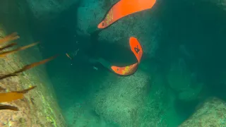freediving through caves western norway winter 2021