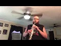 Lagu My Cherie Amour by Stevie Wonder ( Soprano Sax Cover)
