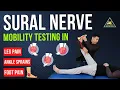 SURAL NERVE MOBILITY TESTING IN LEG ANKLE AND FOOT PAIN PATIENTS