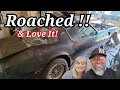 We bought the WORLDS most ROTTON Trans-Am that Facebook Marketplace had to offer and we LOVE it