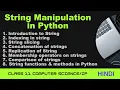 Class 11 String Manipulation in Python Strings in Python class 11 String functions in Python
