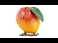 mango bird