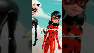 قلبي الو هو عمري الحلو على ميراكلس الدعسوقة والقط الاسود 