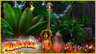 Acorralados por el rey Julien 🌴👑 | DreamWorks Madagascar en Español Latino