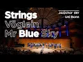 Download Lagu Strings I Vöglein I Mr Blue - Jazzchor der Uni Bonn (Live) - Philharmonie Köln 2024