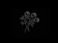 Halsey - Not Afraid Anymore (s l o w e d + r e v e r b )