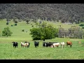 Piddington s 4320 Kiewa Valley Highway Dederang