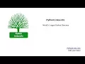 Python Links Talk