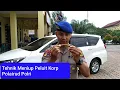 Download Lagu Cara Meniup Peluit Bahari Apel Pagi Korp Airud yang Baik dan Benar