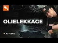 Download Lagu 5 meest voorkomende oorzaken van olielekkage | AUTODOC tips