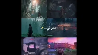 تبا للحب والرومنسيه   دندنها