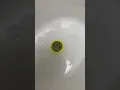 Potty Target Sticker - Sunshine