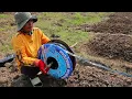 Chili Cultivation in My Village – From Planting to Harvest