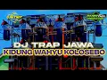 Download Lagu DJ TRAP JAWA KIDUNG WAHYU KOLOSEBO