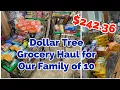 MY FiRST DOLLAR TREE GROCERY HAUL for Our Family of 10