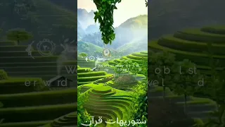 تلاوة من سورة الكهف بصوت الشيخ محمود علي البنا 