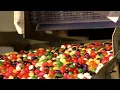 How It s Actually Made - Jelly Beans