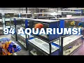 Download Lagu Nearly 100 Cichlid Tanks in this INCREDIBLE FISH ROOM (Private Tour)