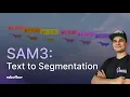 SAM3: Text to Segmentation | Live Coding \u0026 Q\u0026A (Nov 20th)