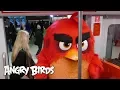 Download Lagu Angry Birds - Red takes the Länsimetro to work