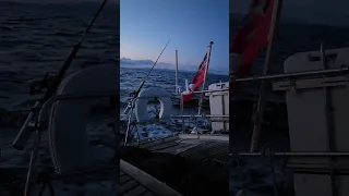 Night Sails Are Some Of The Best Sails ⛵️  #sailing #sail #travel #contestyachts #sailinguk #sunset