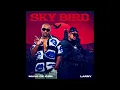 Muvo De Icon X Larny - Sky Bird