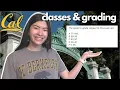 HOW CLASSES GRADING WORK AT UC BERKELEY units GPA curves advising class schedules