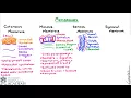 Membranes