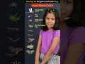 Names of Insects in English Kids s for Kids Adi Keshari Adi Connection English