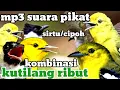 Download Lagu kutilang ribut....!!! kombinasi sirtu/ cipoh paling jahat Anti zoonk