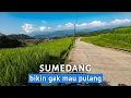 Download Lagu Jalan Lebar, Sawah Luas, Gunung Berjajar | Perjalanan Ke Pesawahan Ciuyah Sumedang