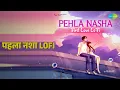 पहला नशा LoFi | Pehla Nasha - First Love LoFi | Raahi | Sadhana Sargam | Udit Narayan Songs |