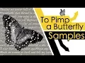 Download Lagu Every Sample From Kendrick Lamar's To Pimp A Butterfly