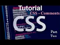 CSS - Comments CSS Tutorial for Beginners in Amharic