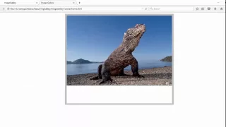 Creating an Image Gallery using HTML CSS and JavaScript