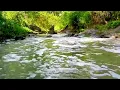 Lagu 1 Hours - The sound of the river accompanies sleep - FHD VIDEO NATURE 