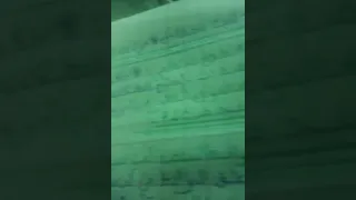 روابط النص الحواري 