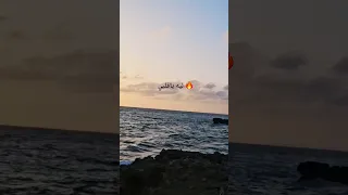 الحب جاني خدني ورماني ليه ياقلبي ليه ياقلبي الحب جرحني 