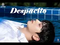 Download Lagu Despacito - Cha Eun Woo [FMV]