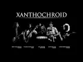 Xanthochroid - Sleeping Stars (Wintersun Cover)