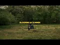 Download Lagu Brian Rahmattio, Dival Arsya - Blooming In Summer ( Official Music Video )