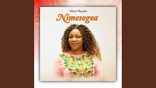 nimesogea